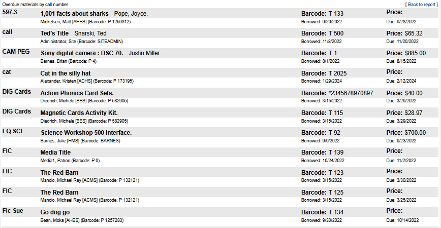 Overdue materials report preview